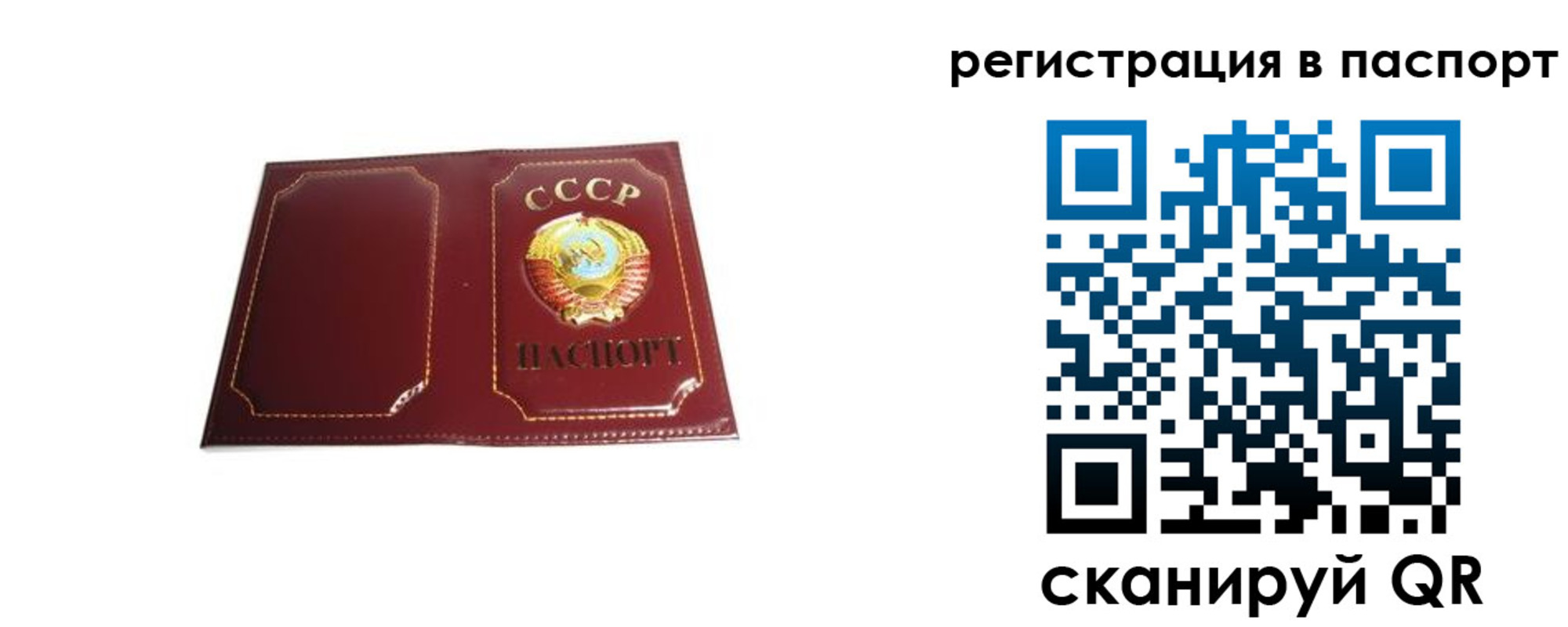прописка 2025 в Нытве